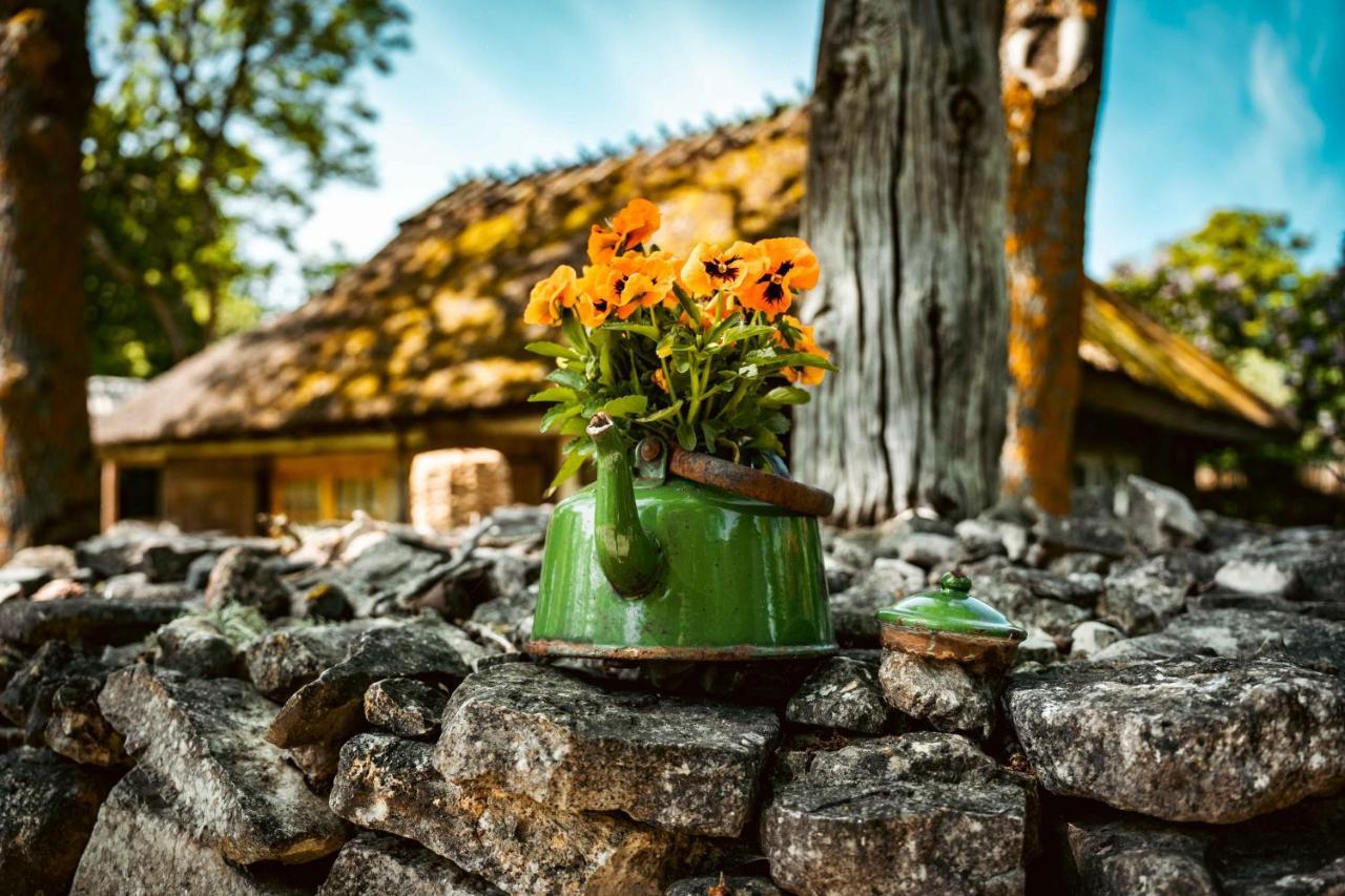 Vanatoa Taluhotell Koguva Exterior foto
